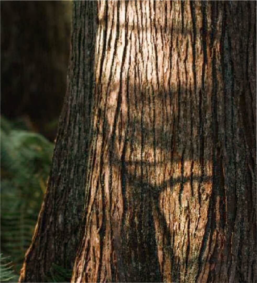 Batik Painting Workshop