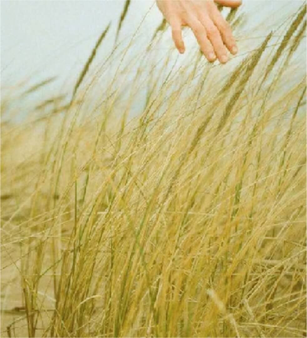 Balinese Photo Costume & Photo Session