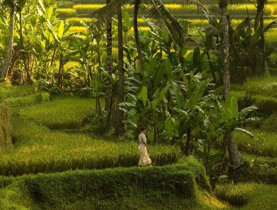 WHERE MEMORIES<br/>ARE CREATED