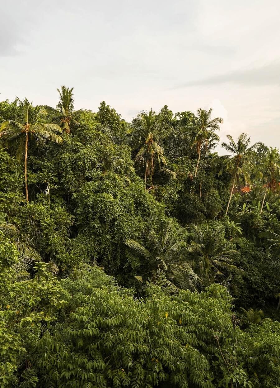 WHERE MEMORIES<br/>ARE CREATED